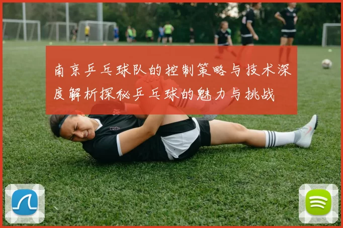 南京乒乓球队的控制策略与技术深度解析探秘乒乓球的魅力与挑战