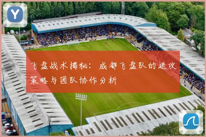 飞盘战术揭秘：成都飞盘队的进攻策略与团队协作分析