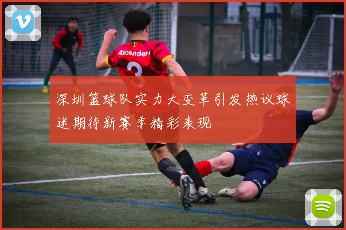 深圳篮球队实力大变革引发热议球迷期待新赛季精彩表现