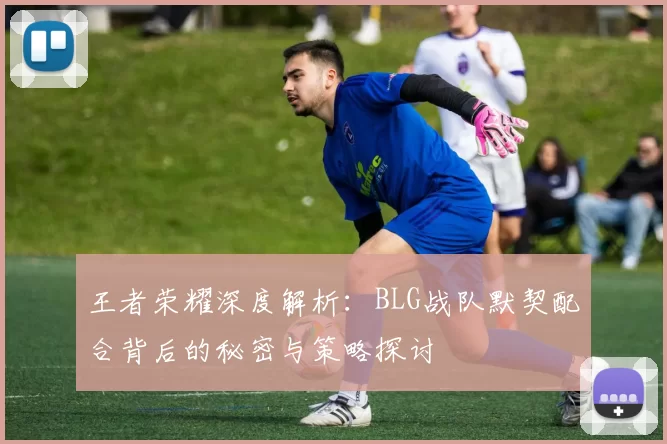 王者荣耀深度解析：BLG战队默契配合背后的秘密与策略探讨