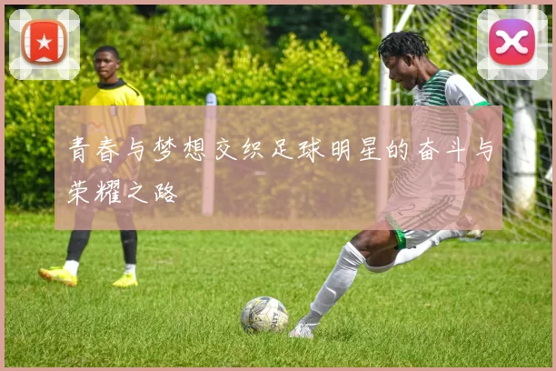 青春与梦想交织足球明星的奋斗与荣耀之路