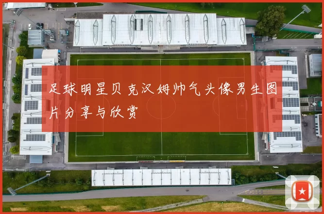 足球明星贝克汉姆帅气头像男生图片分享与欣赏