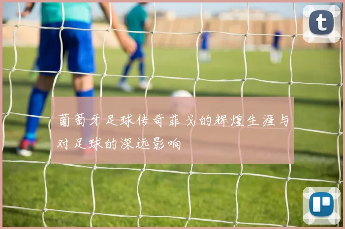 葡萄牙足球传奇菲戈的辉煌生涯与对足球的深远影响